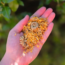 Load image into Gallery viewer, Calendula Flowers (Whole) Organic  - 1oz