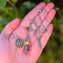 Load image into Gallery viewer, Capricorn Zodiac Necklace