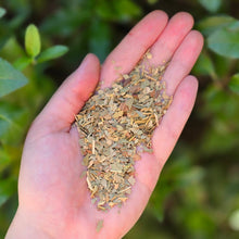 Load image into Gallery viewer, Eucalyptus Leaf Organic - 1oz