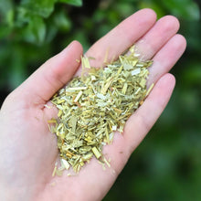 Load image into Gallery viewer, Oatstraw Organic - 1oz