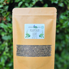 Load image into Gallery viewer, Plantain Leaf Organic - 1oz