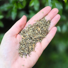 Load image into Gallery viewer, Plantain Leaf Organic - 1oz