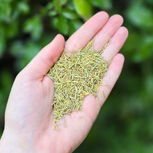 Load image into Gallery viewer, Rosemary Leaf (Whole) Organic - 1oz