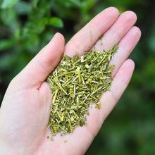 Load image into Gallery viewer, Skullcap Organic - 1oz