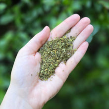 Load image into Gallery viewer, Spearmint Leaf Organic - 1oz