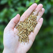 Load image into Gallery viewer, St. John's Wort Organic - 1oz