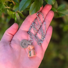 Load image into Gallery viewer, Virgo Zodiac Necklace