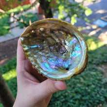 Load image into Gallery viewer, Abalone Shell Incense Holder
