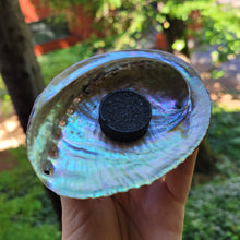 Load image into Gallery viewer, Abalone Shell Incense Holder