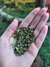 Load image into Gallery viewer, Dandelion Leaf Organic - 1oz