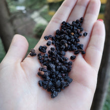 Load image into Gallery viewer, Elderberries Organic - 1oz