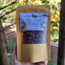 Load image into Gallery viewer, Hawthorn Berries (Whole) Organic - 1oz