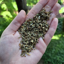 Load image into Gallery viewer, Hyssop Herb Organic - 1 oz