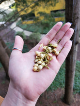 Load image into Gallery viewer, Jasmine Flowers Whole - 1oz