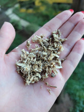 Load image into Gallery viewer, Marshmallow Root Organic - 1oz