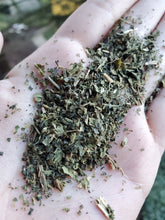 Load image into Gallery viewer, Nettle Leaf Organic - 1oz