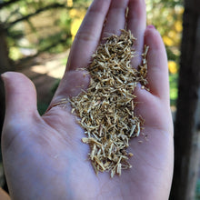 Load image into Gallery viewer, Nettle Root Organic - 1oz