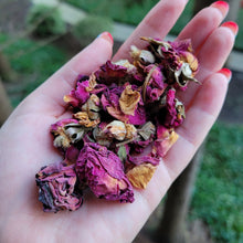 Load image into Gallery viewer, Red Rose Buds & Petals Organic - 1oz