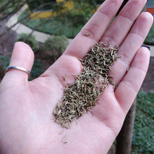 Load image into Gallery viewer, Thyme Leaf Organic - 1oz
