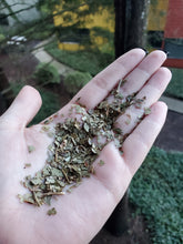 Load image into Gallery viewer, Witch Hazel Leaf Organic - 1oz