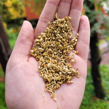 Load image into Gallery viewer, Yarrow Flower Organic - 1oz