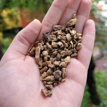 Load image into Gallery viewer, Elecampane Root Organic - 1oz