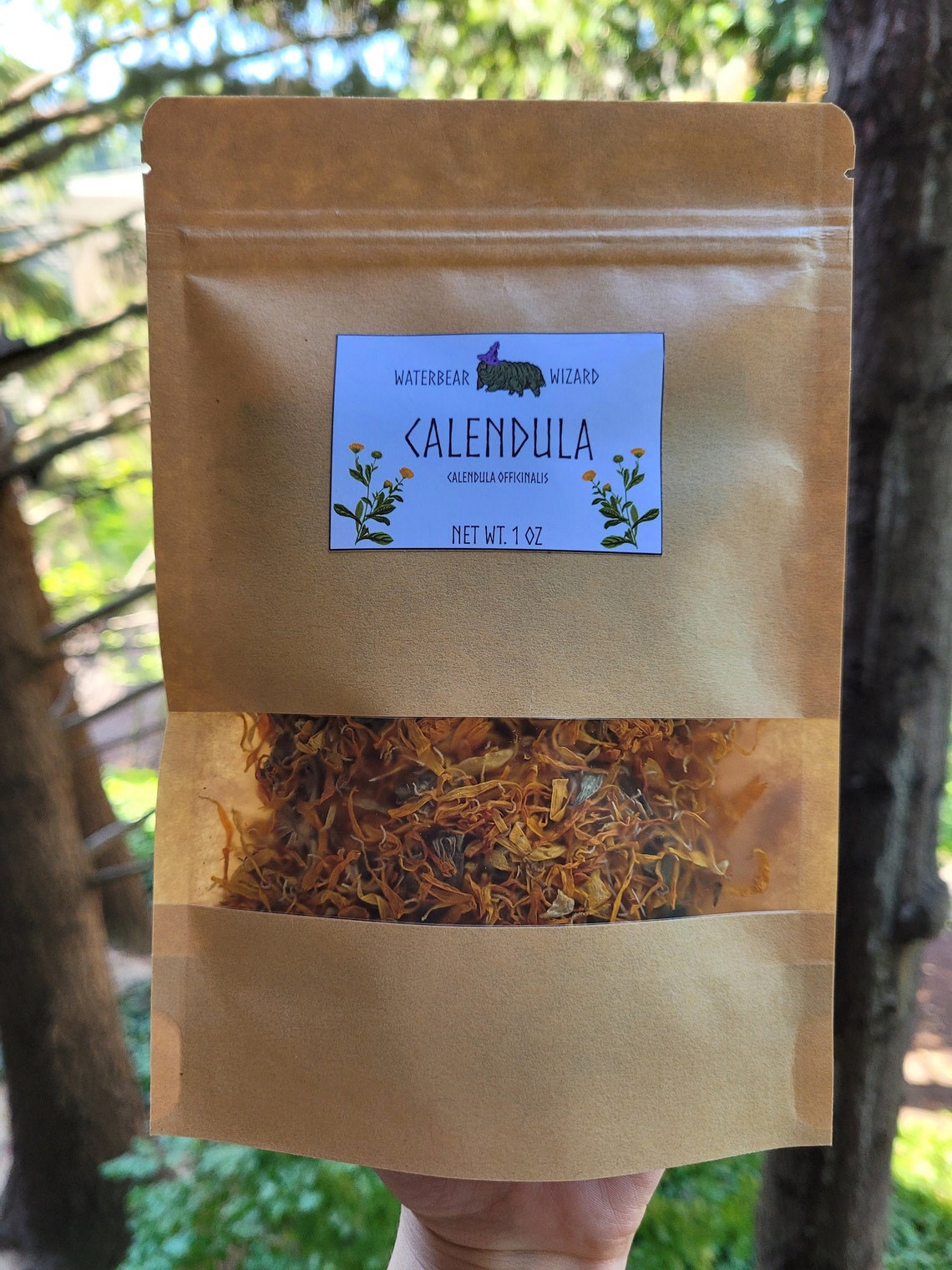 Calendula Flowers — Green Wisdom Herbal Studies
