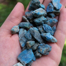 Load image into Gallery viewer, Raw Blue Apatite Chunks - 10 grams