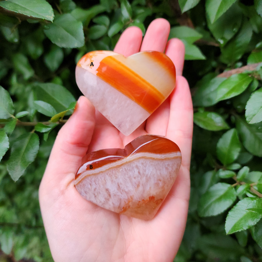 Carnelian & Quartz Heart Palm Stone - 1 ct