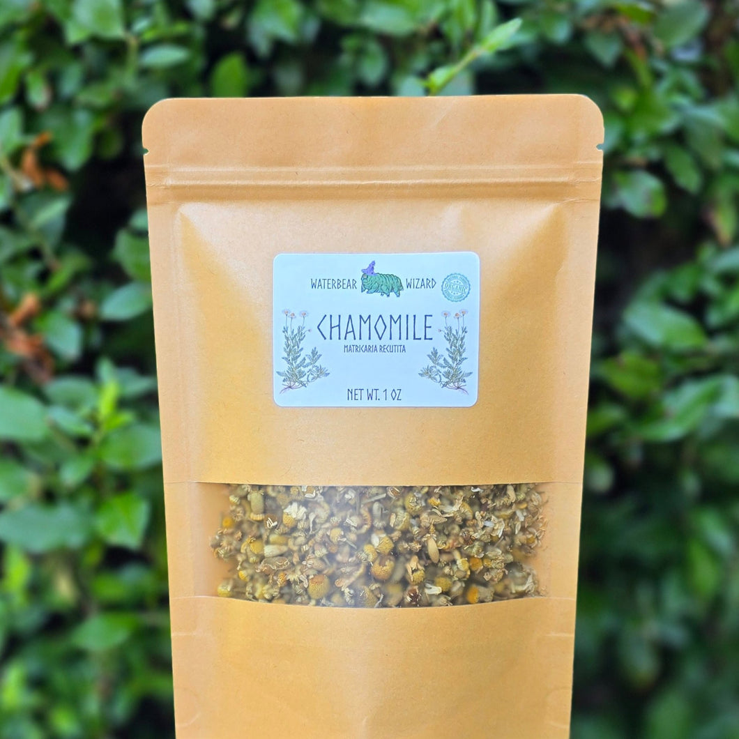 German Chamomile Flowers (Whole) Organic  - 1oz