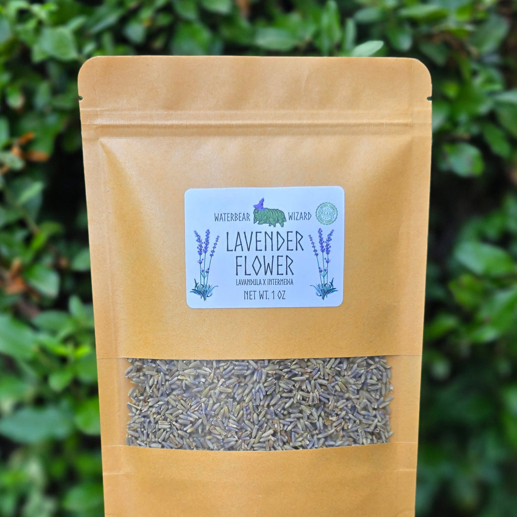 Lavender Flowers Organic (Lavendula x Intermedia) - 1oz