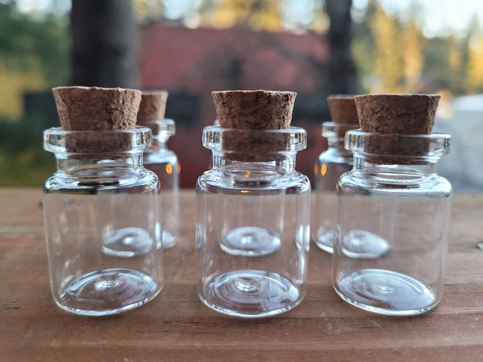 Mini Potion Bottles 6pk 2ml Glass W/ Cork 