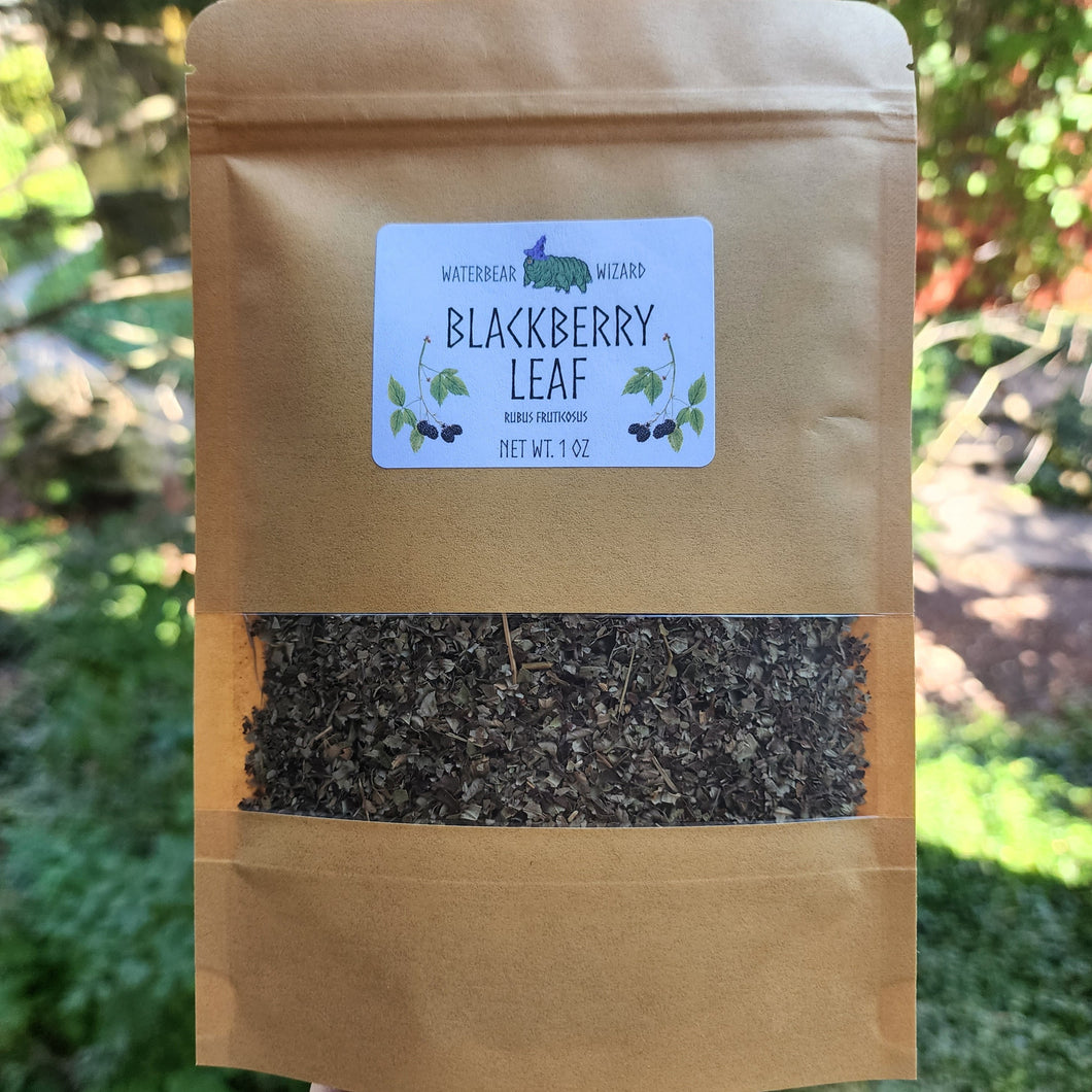 Blackberry Leaf Organic - 1oz