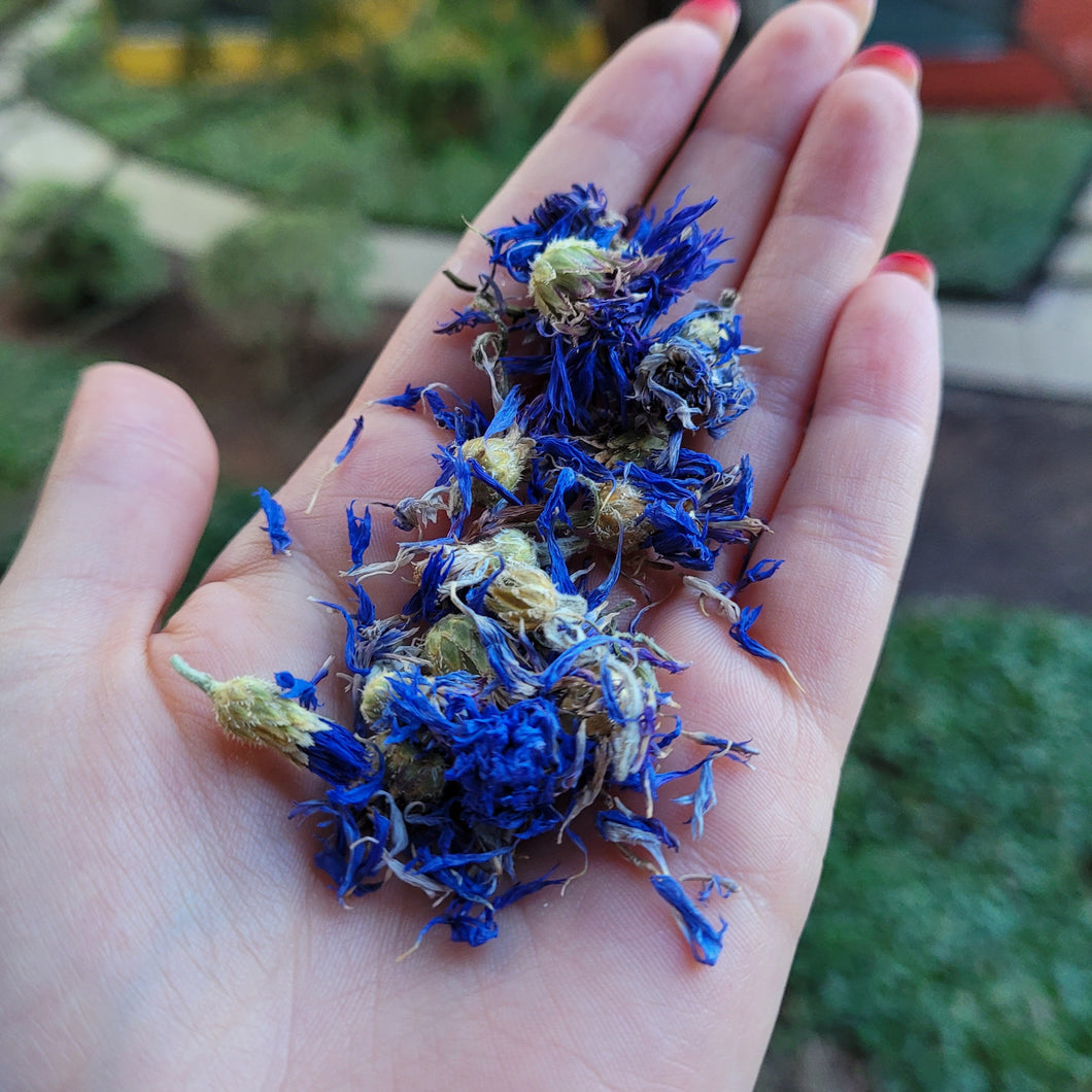 Blue Cornflower - 1oz