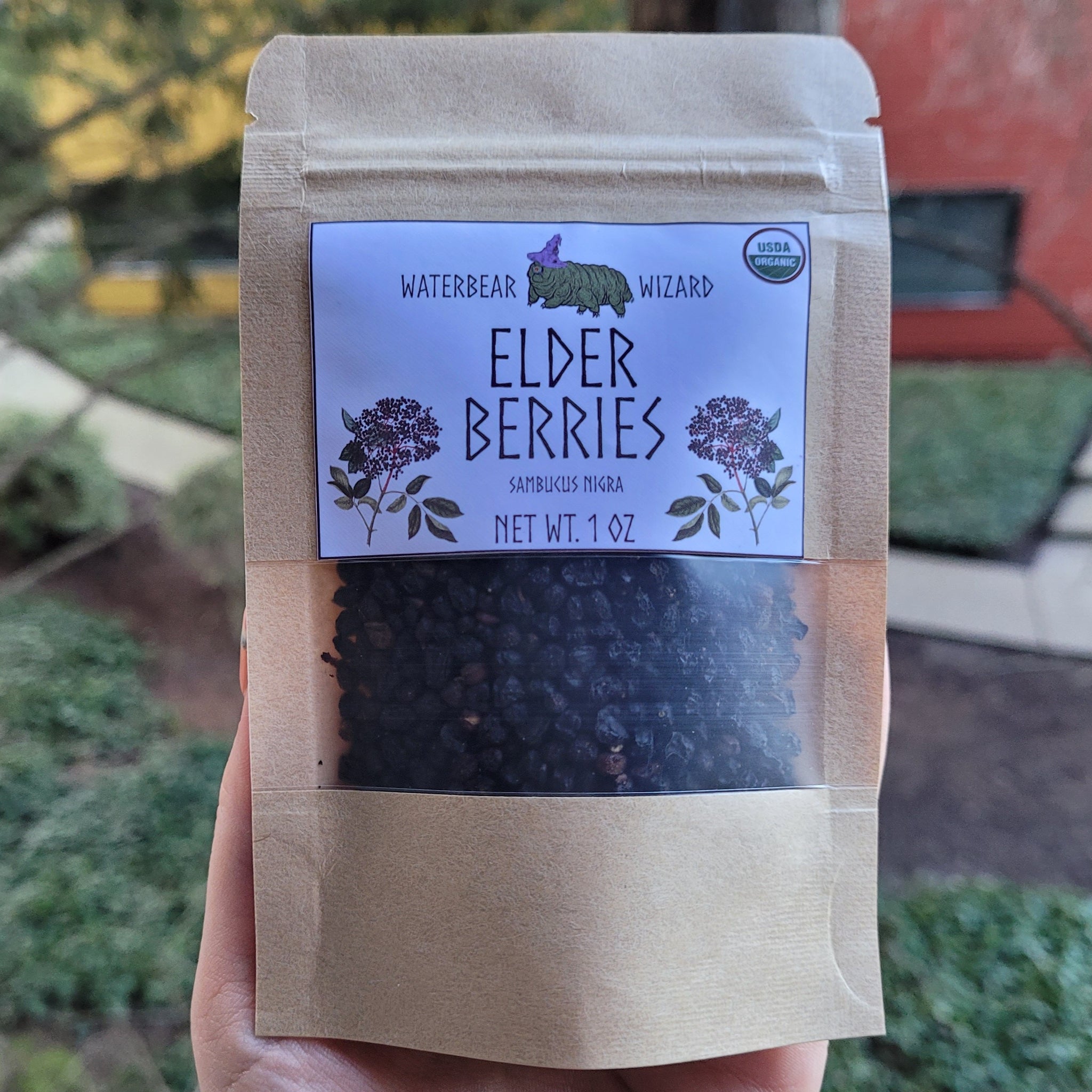 Elderberries Organic - 1oz – Waterbear Wizard