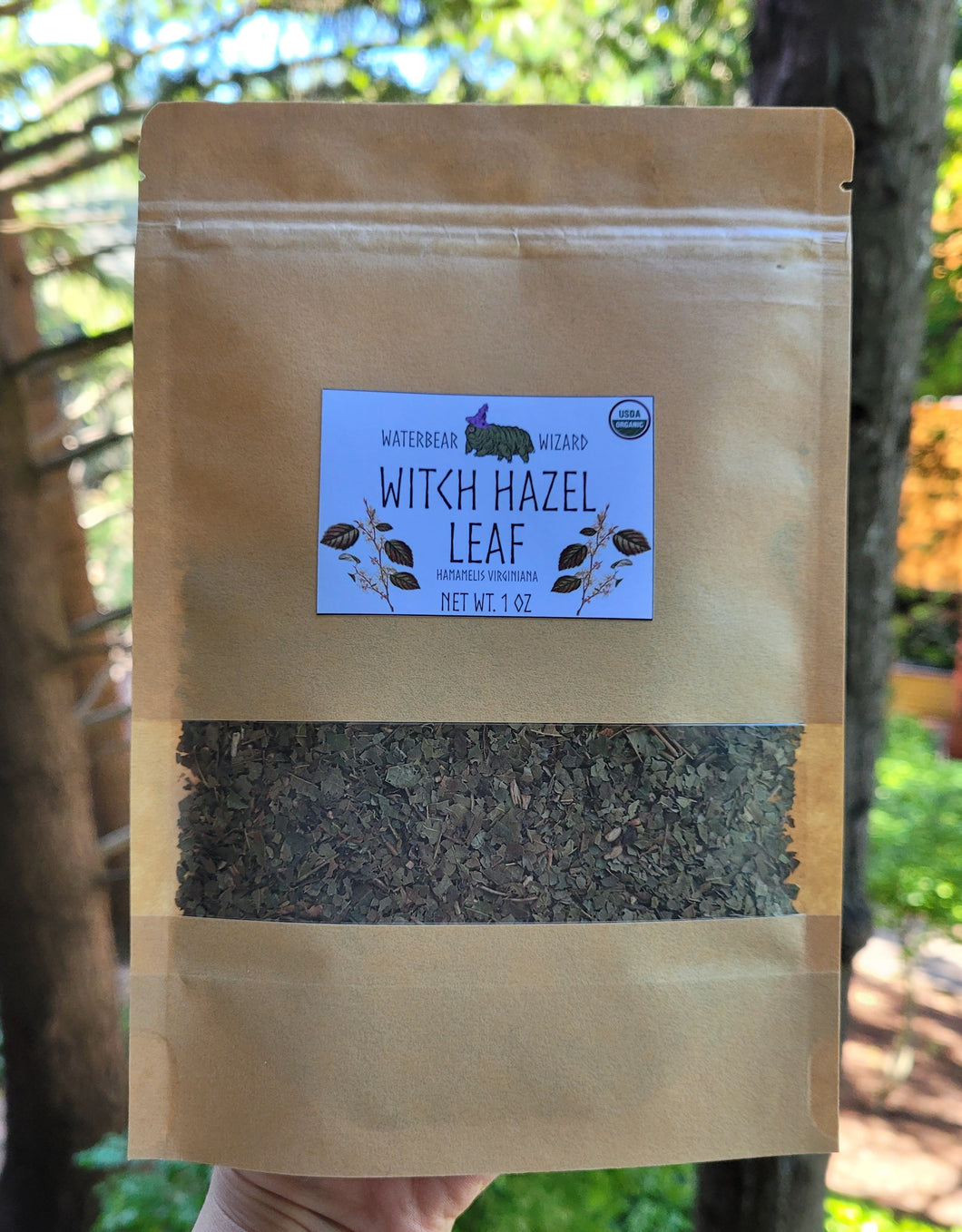 Witch Hazel Leaf Organic - 1oz