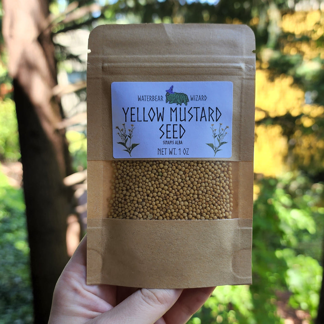Yellow Mustard Seed (Whole) Organic  - 1oz