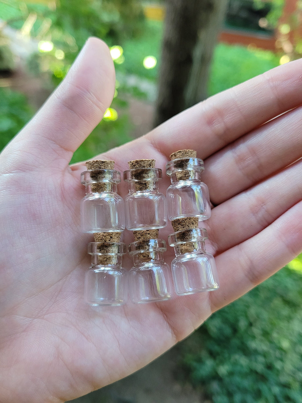 Mini (1 ml) Glass Jars With Cork - 6pk