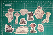 Load image into Gallery viewer, Matte Mushroom Sticker Pack - 11 ct
