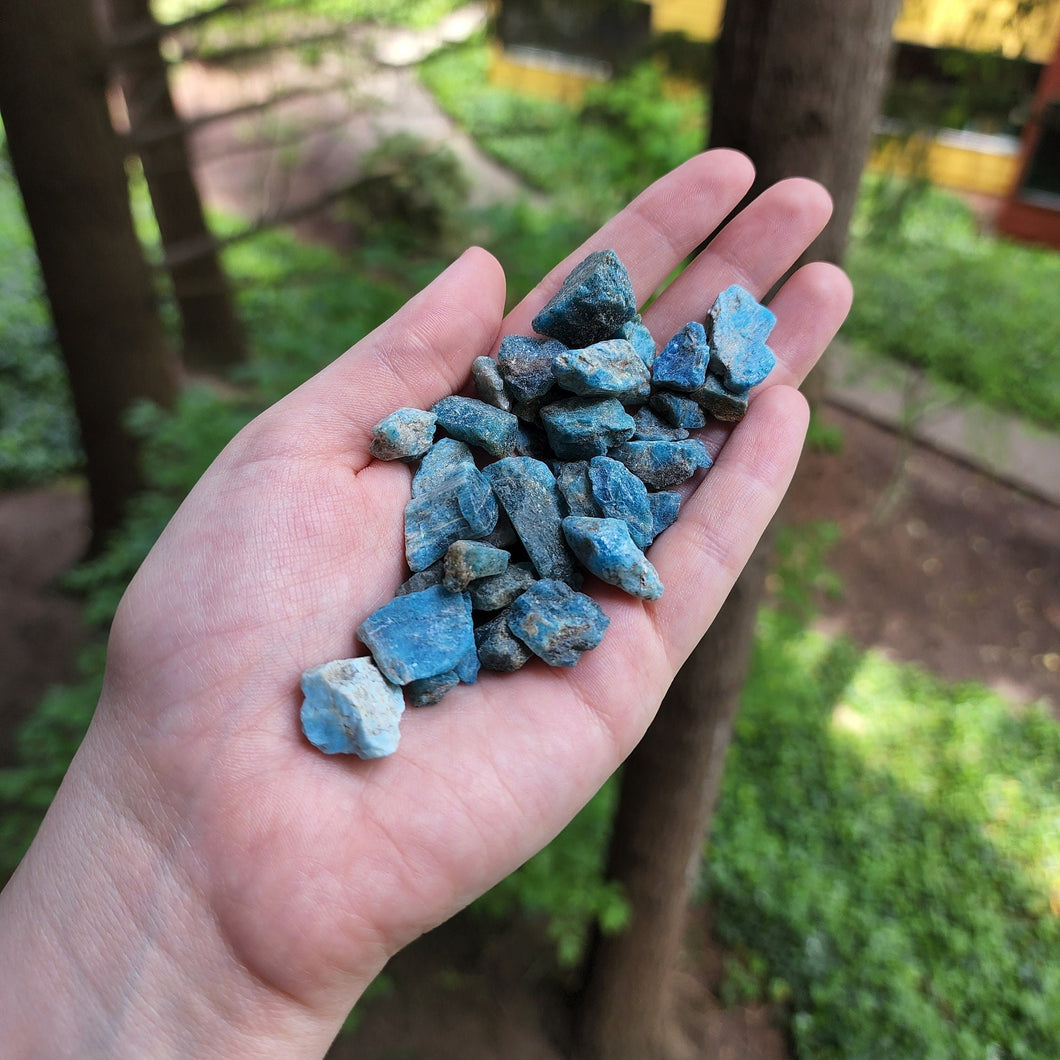 Raw Blue Apatite Chunks -  10 grams